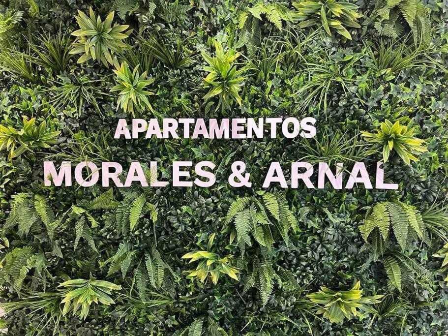 XXI E Apartamentos Morales & Arnal ロンダ エクステリア 写真